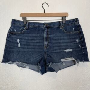 Aerie Daydream Denim Shorts Distressed Stretch Size XL